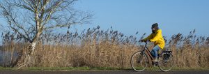 Revalidatie met de fiets, fysiotherapeut, heup, knie, prothese.